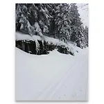 Harz Zeit 阿尔特瑙