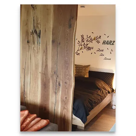 Harz Zeit Apartment Altenau (Lower-Saxony)