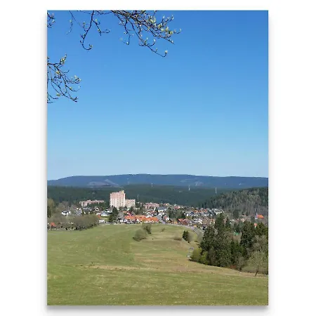 Harz Zeit 阿尔特瑙
