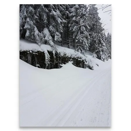 Harz Zeit Altenau (Lower-Saxony)