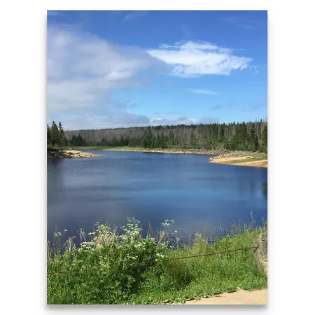 公寓 Harz Zeit 阿尔特瑙