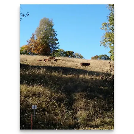 Harz Zeit Apartment Altenau (Lower-Saxony)