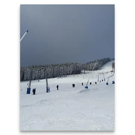 Harz Zeit