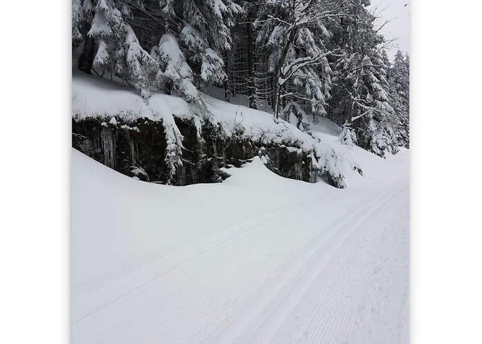 Harz Zeit Altenau (Lower-Saxony)