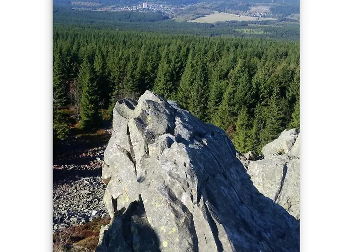 Lägenhet Harz Zeit *
