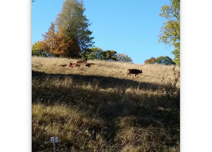 Harz Zeit Lägenhet Altenau (Lower-Saxony)